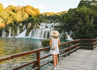 Las 5 experiencias de naturaleza más impactantes del 2026 sin ser experto »