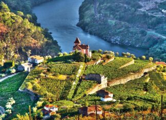 Los 5 mejores destinos de Europa para amantes del vino en el 2026 »
