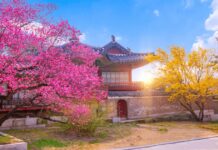 Las 5 ciudades con el mejor clima del mundo para viajar en mayo »