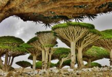 5 lugares del mundo que parecen inventados y casi nadie tiene en su lista de viajes »