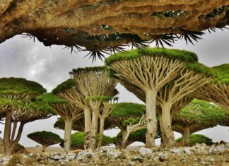 5 lugares del mundo que parecen inventados y casi nadie tiene en su lista de viajes »
