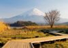 Las 5 caminatas cortas en naturaleza que se sienten como un gran viaje »