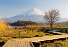 Las 5 caminatas cortas en naturaleza que se sienten como un gran viaje »
