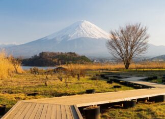 Las 5 caminatas cortas en naturaleza que se sienten como un gran viaje »