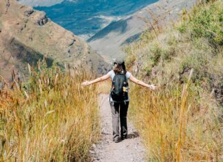 Las 5 rutas del mundo para aprender algo nuevo viajando en el 2026 »