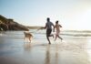 Los 5 destinos ideales para viajar con mascota sin complicarte en el 2026 »