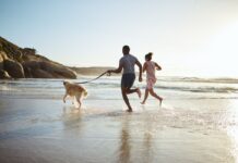 Los 5 destinos ideales para viajar con mascota sin complicarte en el 2026 »