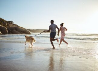 Los 5 destinos ideales para viajar con mascota sin complicarte en el 2026 »