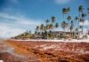 Los 5 destinos de playa que no deberías visitar en pleno verano en 2026 »
