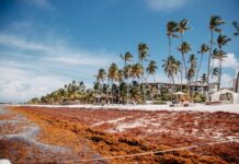 Los 5 destinos de playa que no deberías visitar en pleno verano en 2026 »