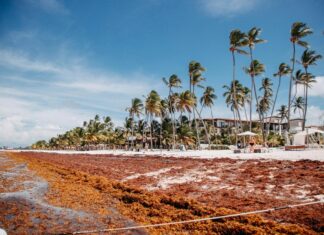 Los 5 destinos de playa que no deberías visitar en pleno verano en 2026 »