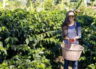 Los 5 destinos del mundo para los amantes del café »