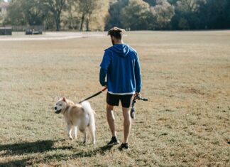 Los 5 destinos del 2026 para viajar con mascota sin complicarte »