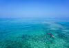 Los 5 destinos de snorkel y buceo más remotos del mundo para ver naturaleza marina extrema »
