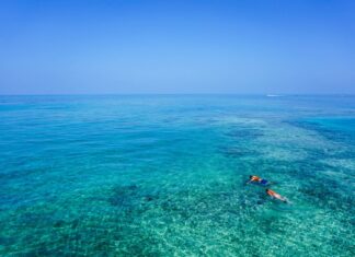 Los 5 destinos de snorkel y buceo más remotos del mundo para ver naturaleza marina extrema »