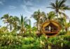 Los 5 destinos de naturaleza donde puedes dormir dentro de reservas privadas sin perder comodidad »