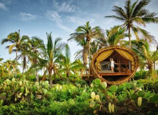 Los 5 destinos de naturaleza donde puedes dormir dentro de reservas privadas sin perder comodidad »