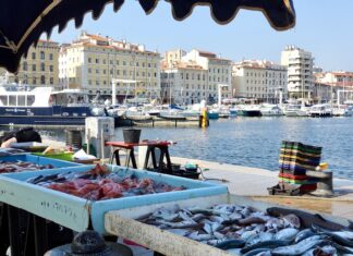 Las 5 ciudades costeras donde los mercados de pescado siguen marcando el ritmo del día »
