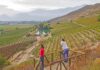 Las 5 regiones vinícolas menos conocidas que vale la pena visitar antes de que se pongan de moda »