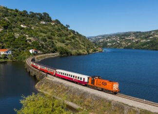 Los 5 viajes en tren menos obvios del mundo para sentir que el trayecto es el destino en 2026 »