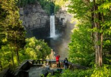 Los 5 retiros de naturaleza en Norteamérica donde puedes desconectar sin ir a un retiro espiritual »