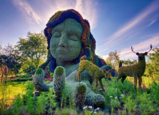 Los 5 jardines botánicos del mundo que justifican planear un viaje en 2026 »