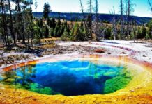 5 fenómenos naturales de colores que vale la pena cruzar el mundo para ver »