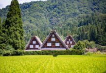 5 experiencias de turismo rural que te reconectan con la vida simple »