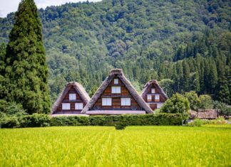 5 experiencias de turismo rural que te reconectan con la vida simple »
