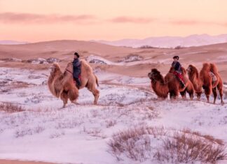 5 desiertos del mundo que no son de arena, sino de sal, hielo o piedra »