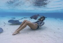 5 destinos donde nadar junto a animales marinos de forma responsable y segura »