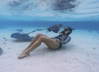 5 destinos donde nadar junto a animales marinos de forma responsable y segura »