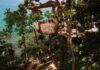 dentro de una cueva, colgados de un acantilado o en la copa de un árbol »