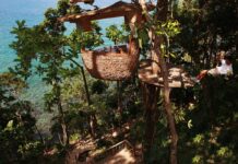 dentro de una cueva, colgados de un acantilado o en la copa de un árbol »