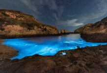 5 lugares donde el mar brilla de noche y cuándo ir para verlo »