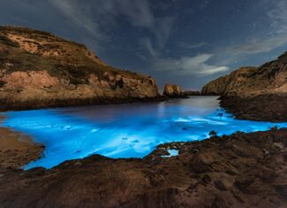 5 lugares donde el mar brilla de noche y cuándo ir para verlo »