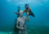 5 museos submarinos donde puedes caminar entre esculturas bajo el mar »