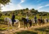 5 destinos donde recorrer paisajes a caballo ofrece una perspectiva que no encontrarás desde la carretera »